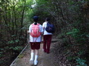 宿泊学習では、登山をします。
