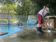 ペンギンさんのプールをおそうじしています。