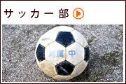 サッカー部